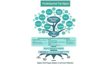 Fonksiyonel Tıp Nedir?